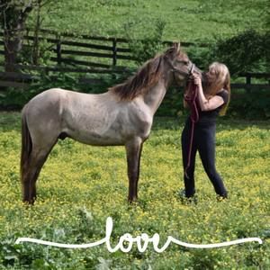 Meet your Posher, Martha